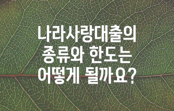 나라사랑대출의 종류와 한도는 어떻게 될까요?