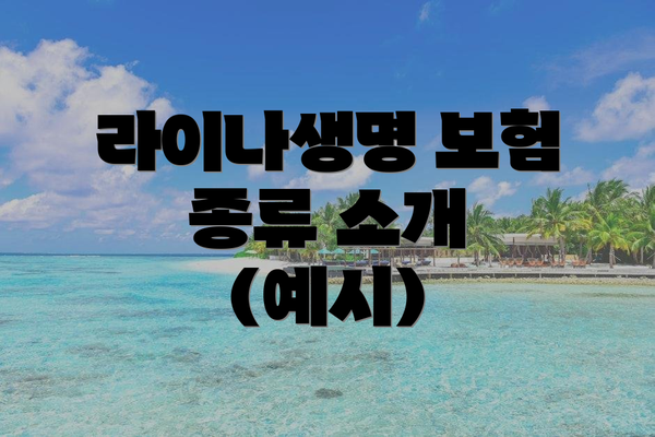 라이나생명 보험 종류 소개 (예시)