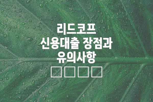 리드코프 신용대출 장점과 유의사항 ✔️⚠️