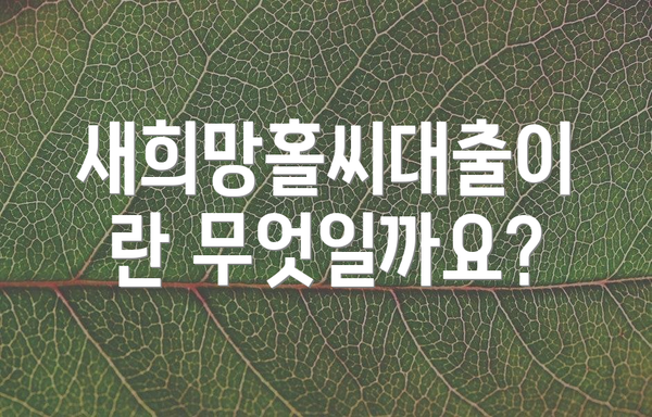 새희망홀씨대출이란 무엇일까요?