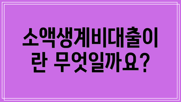 소액생계비대출이란 무엇일까요?