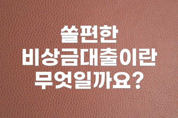 쏠편한 비상금대출이란 무엇일까요?