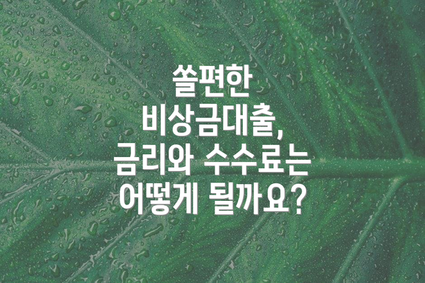 쏠편한 비상금대출, 금리와 수수료는 어떻게 될까요?