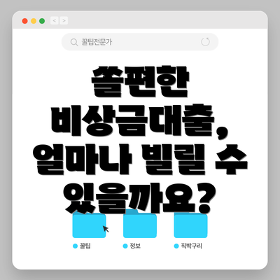 쏠편한 비상금대출, 얼마나 빌릴 수 있을까요?