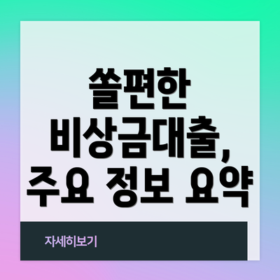 쏠편한 비상금대출, 주요 정보 요약