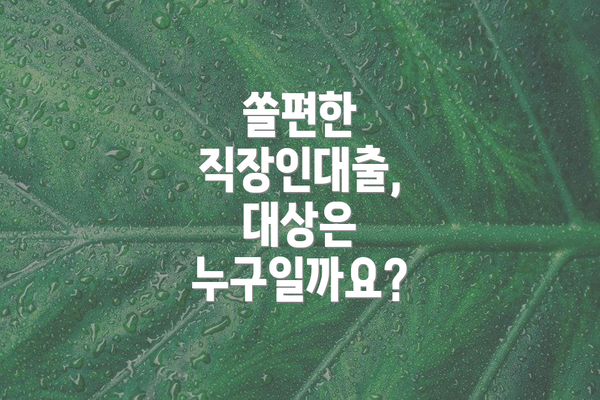 쏠편한 직장인대출, 대상은 누구일까요?