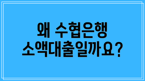 왜 수협은행 소액대출일까요?
