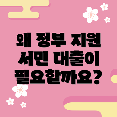 왜 정부 지원 서민 대출이 필요할까요?