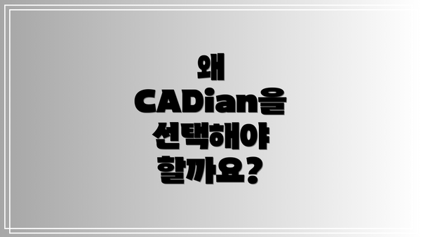 왜 CADian을 선택해야 할까요?