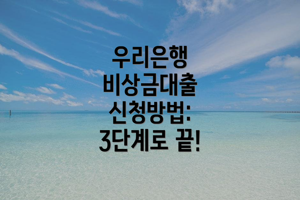 우리은행 비상금대출 신청방법: 3단계로 끝!