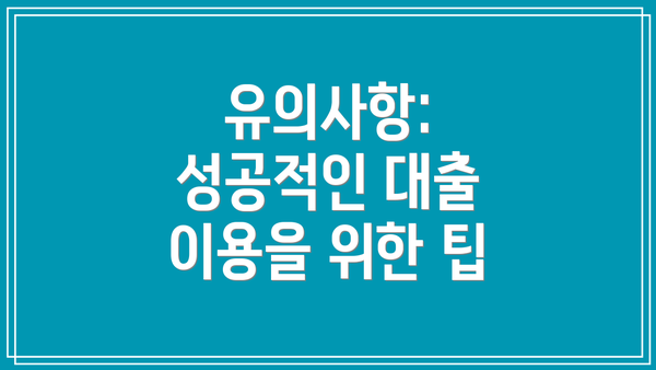 유의사항:  성공적인 대출 이용을 위한 팁