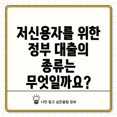 저신용자를 위한 정부 대출의 종류는 무엇일까요?