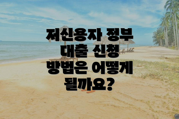 저신용자 정부 대출 신청 방법은 어떻게 될까요?