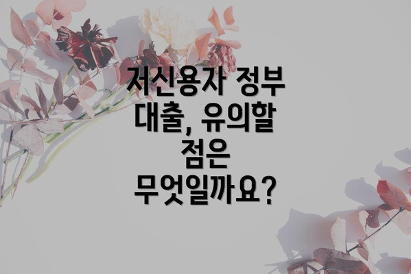 저신용자 정부 대출, 유의할 점은 무엇일까요?