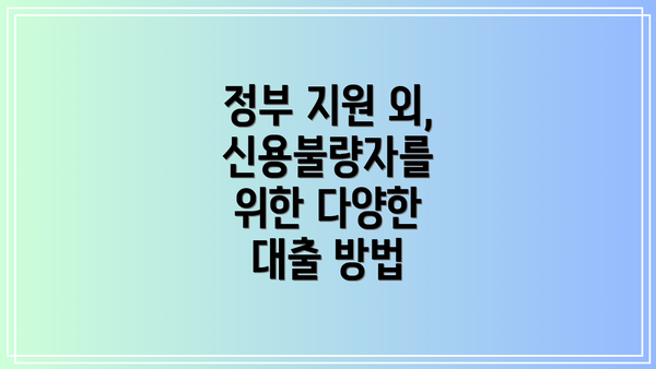 정부 지원 외, 신용불량자를 위한 다양한 대출 방법