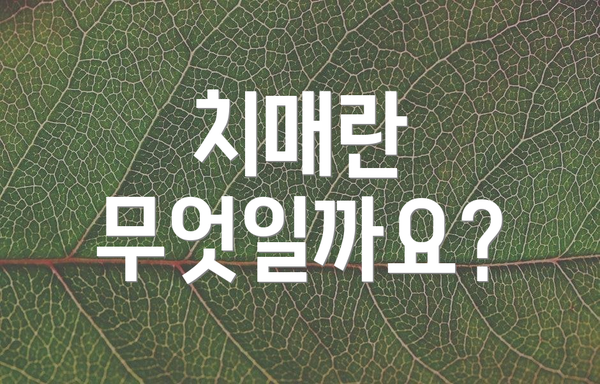 치매란 무엇일까요?