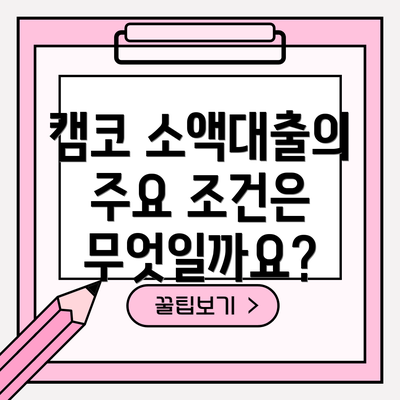 캠코 소액대출의 주요 조건은 무엇일까요?