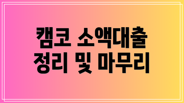 캠코 소액대출  정리 및 마무리