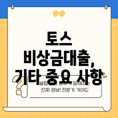 토스 비상금대출, 기타 중요 사항