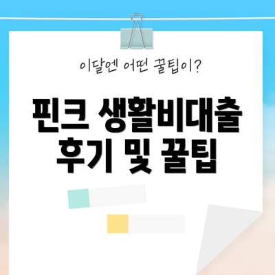 핀크 생활비대출 후기 및 꿀팁