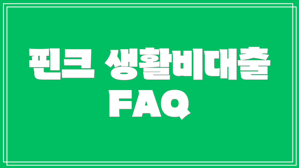 핀크 생활비대출 FAQ