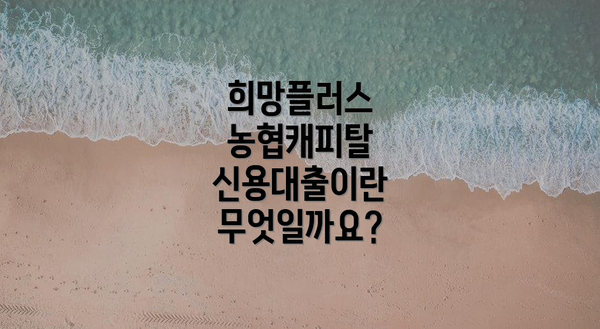 희망플러스 농협캐피탈 신용대출:  부결 시 대안 상품