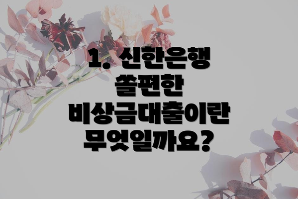 1. 신한은행 쏠편한 비상금대출이란 무엇일까요?