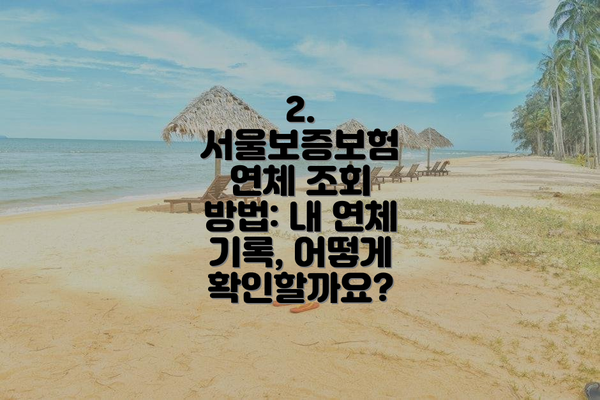 2. 서울보증보험 연체 조회 방법: 내 연체 기록, 어떻게 확인할까요?