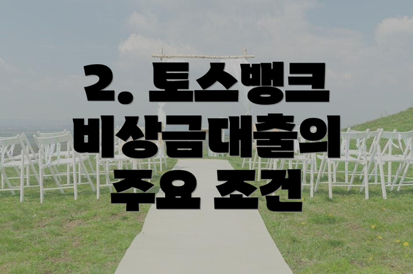 2. 토스뱅크 비상금대출의 주요 조건