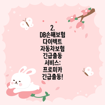 2. DB손해보험 다이렉트 자동차보험 긴급출동 서비스: 프로미카 긴급출동!