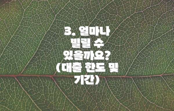 3. 얼마나 빌릴 수 있을까요? (대출 한도 및 기간)