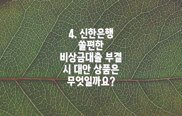 4. 신한은행 쏠편한 비상금대출 부결 시 대안 상품은 무엇일까요?