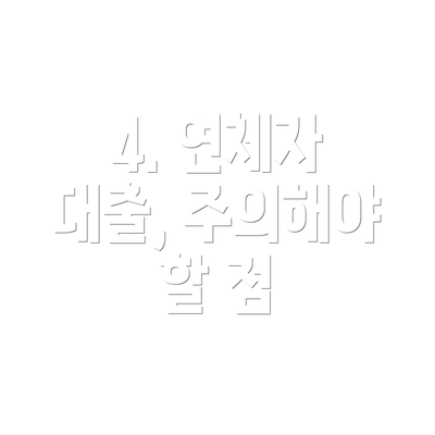 4. 연체자 대출, 주의해야 할 점