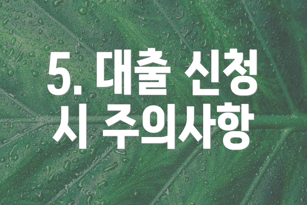 5. 대출 신청 시 주의사항