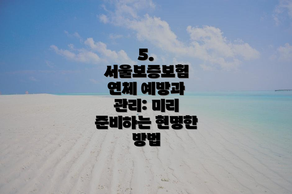 5. 서울보증보험 연체 예방과 관리: 미리 준비하는 현명한 방법