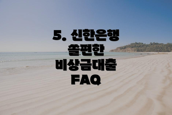 5. 신한은행 쏠편한 비상금대출 FAQ