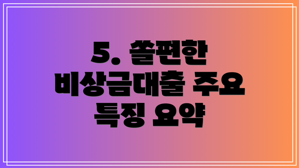 5. 쏠편한 비상금대출 주요 특징 요약