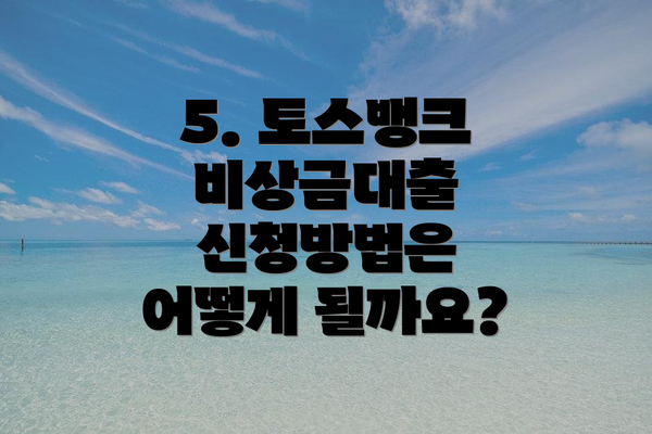 5. 토스뱅크 비상금대출 신청방법은 어떻게 될까요?