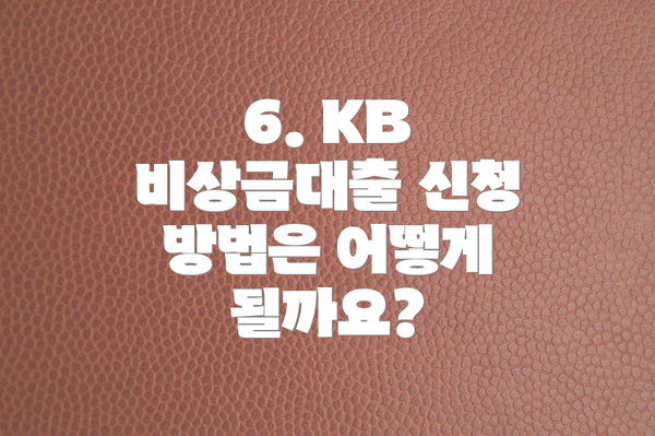 6. KB 비상금대출 신청 방법은 어떻게 될까요?