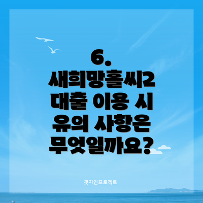 6. 새희망홀씨2 대출 이용 시 유의 사항은 무엇일까요?