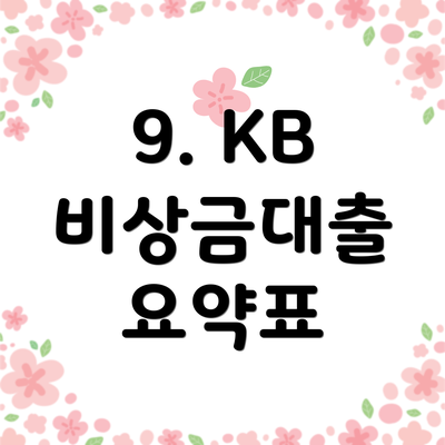 9. KB 비상금대출 요약표