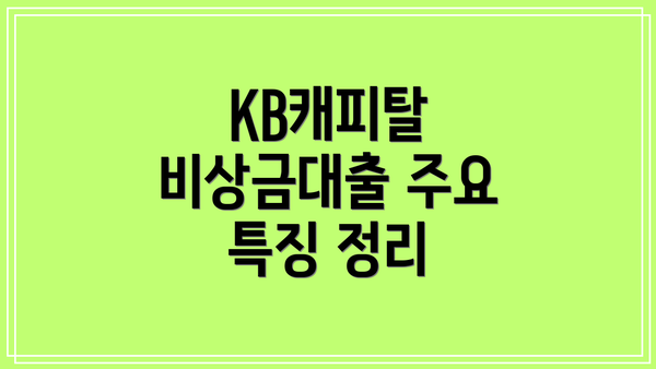 KB캐피탈 비상금대출 주요 특징 정리