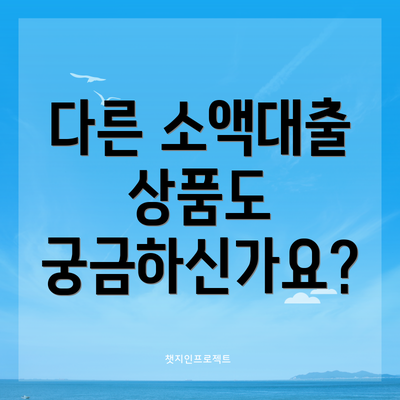 다른 소액대출 상품도 궁금하신가요?