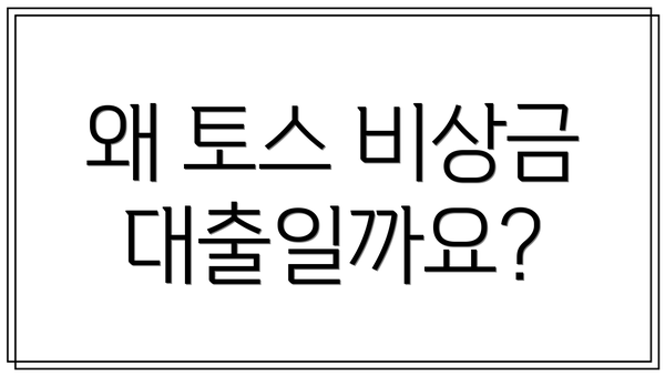 왜 토스 비상금대출일까요?