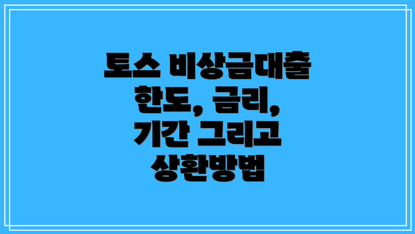 토스 비상금대출 한도, 금리, 기간 그리고 상환방법