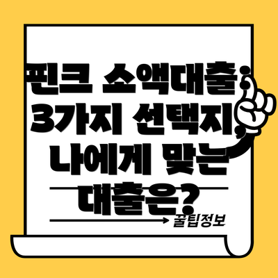 핀크 소액대출: 3가지 선택지, 나에게 맞는 대출은?