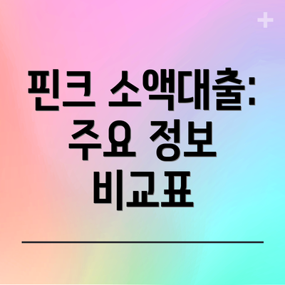 핀크 소액대출: 주요 정보 비교표