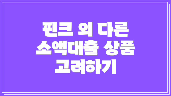 핀크 외 다른 소액대출 상품 고려하기