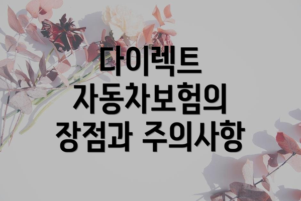 다이렉트 자동차보험의 장점과 주의사항