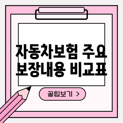 자동차보험 주요 보장내용 비교표